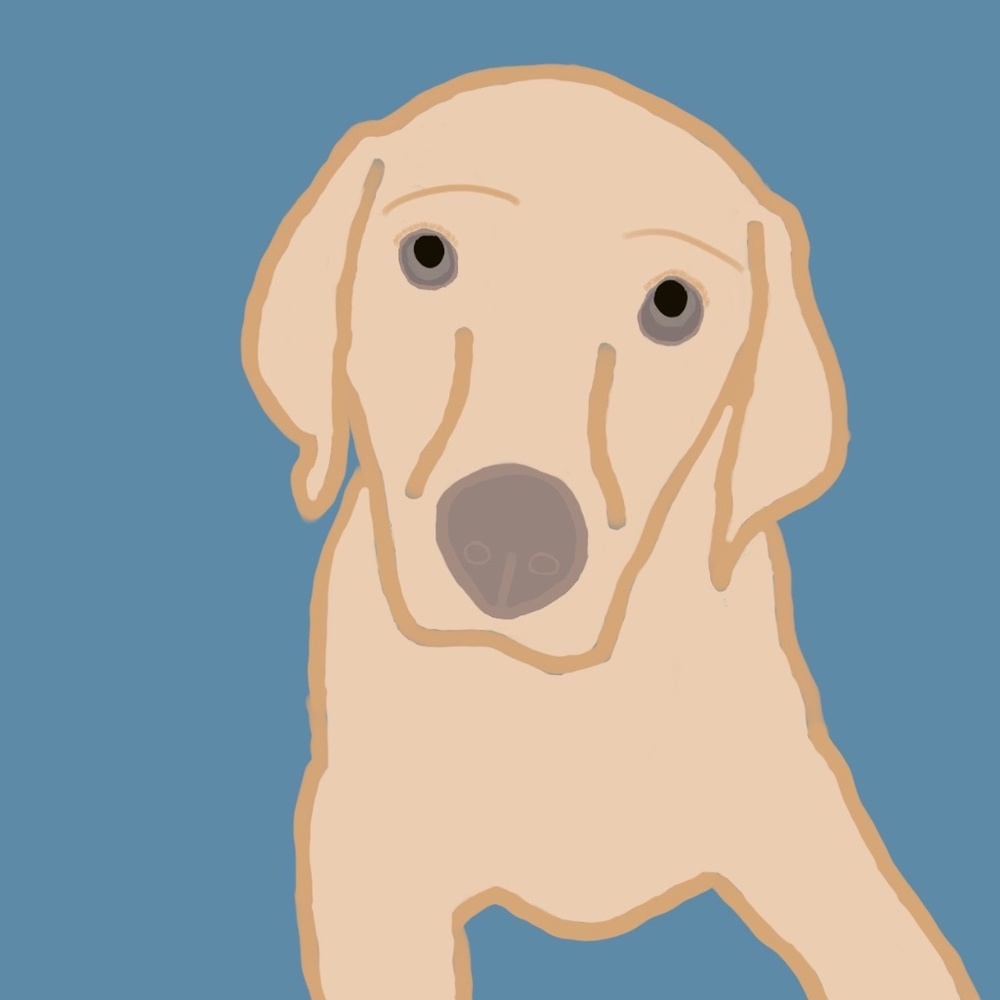 Meet your Posher, The bargain shopper!